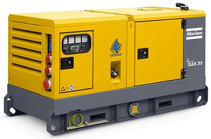 Дизельный генератор Atlas Copco QAS 30 с АВР ДизельЭнергоРесурс